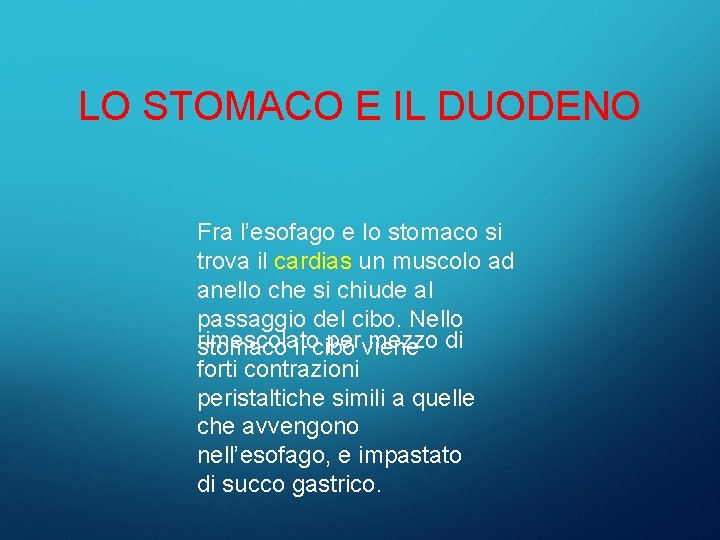 LO STOMACO E IL DUODENO Fra l’esofago e lo stomaco si trova il cardias