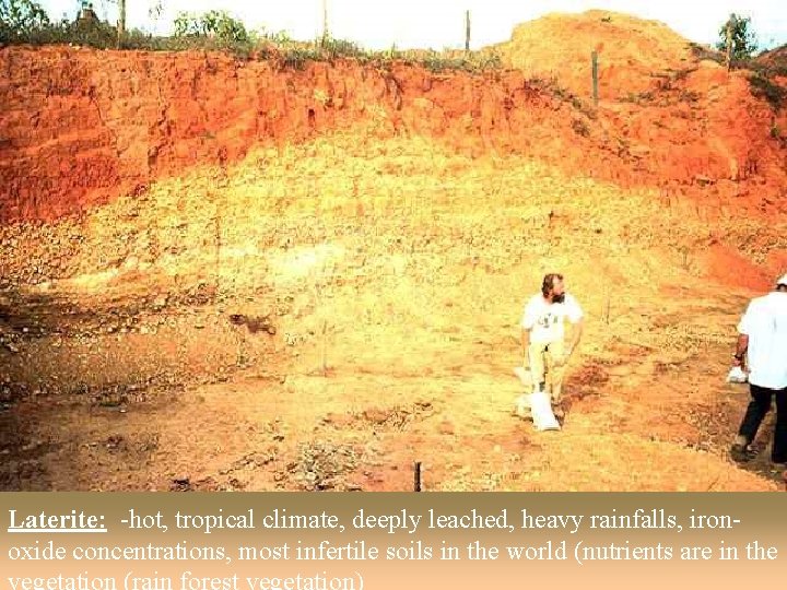 Laterite: -hot, tropical climate, deeply leached, heavy rainfalls, ironoxide concentrations, most infertile soils in