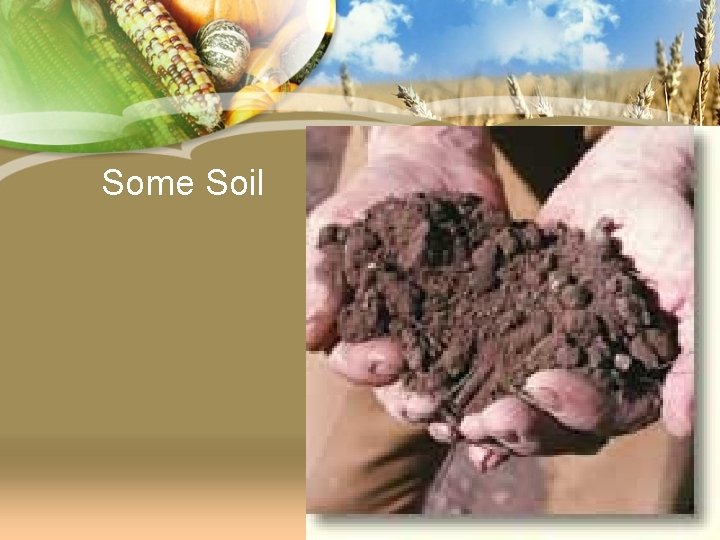 Some Soil 