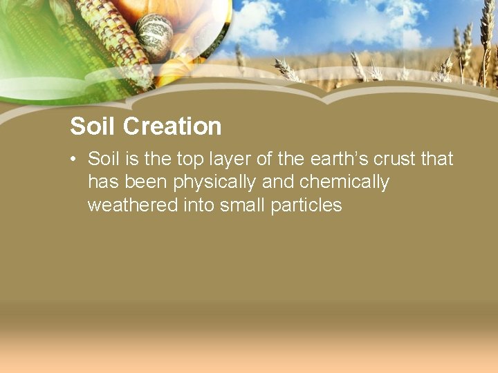 Soil Creation • Soil is the top layer of the earth’s crust that has