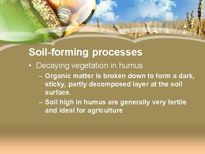Soil-forming processes • Decaying vegetation in humus – Organic matter is broken down to