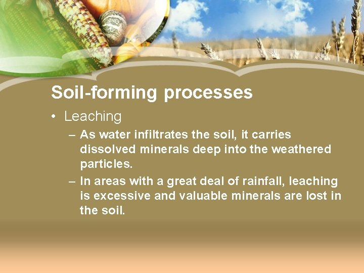 Soil-forming processes • Leaching – As water infiltrates the soil, it carries dissolved minerals