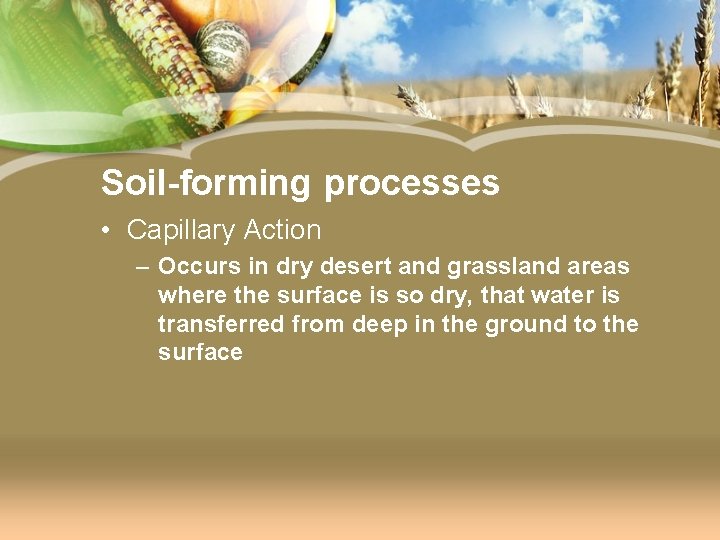 Soil-forming processes • Capillary Action – Occurs in dry desert and grassland areas where