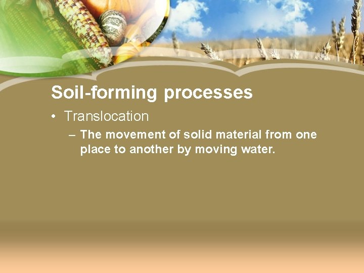 Soil-forming processes • Translocation – The movement of solid material from one place to