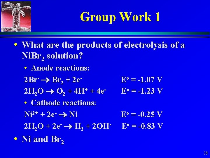 Group Work 1 • What are the products of electrolysis of a Ni. Br