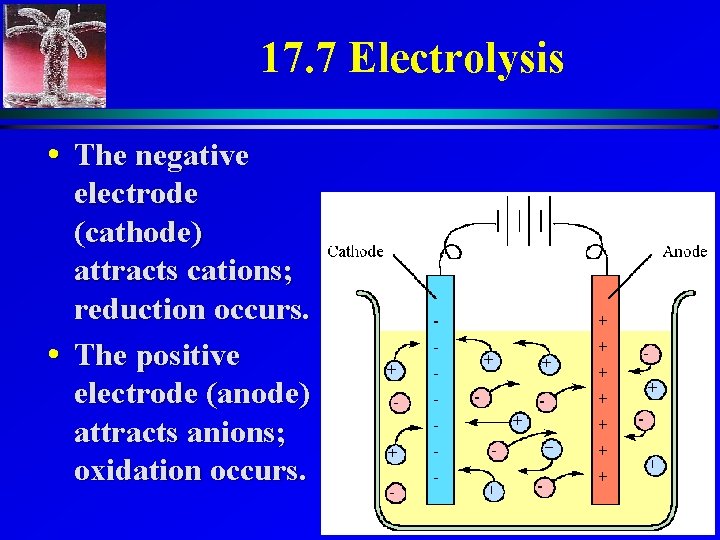 17. 7 Electrolysis • The negative electrode (cathode) attracts cations; reduction occurs. • The