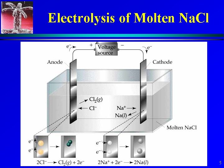 Electrolysis of Molten Na. Cl 5 