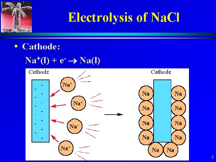 Electrolysis of Na. Cl • Cathode: Na+(l) + e- Na(l) 6 