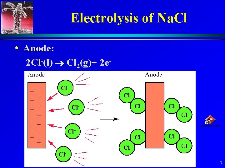 Electrolysis of Na. Cl • Anode: 2 Cl-(l) Cl 2(g)+ 2 e- 7 