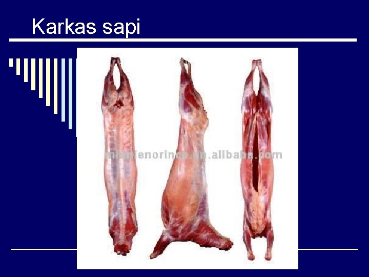 Karkas sapi Karkas sapi