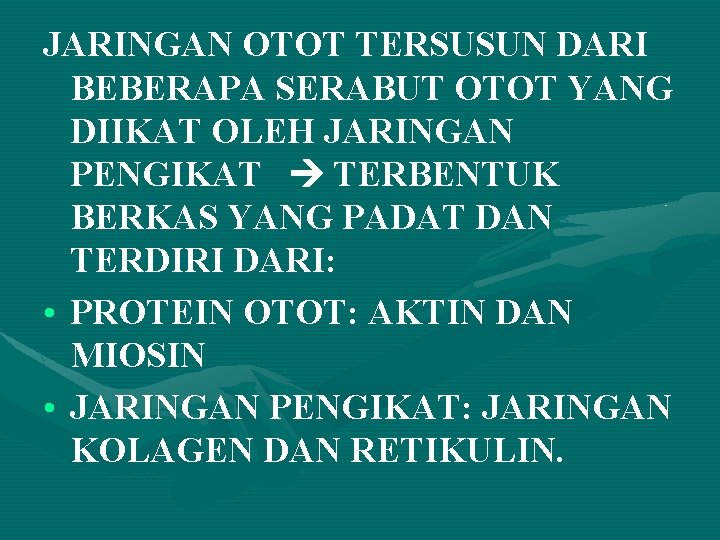JARINGAN OTOT TERSUSUN DARI BEBERAPA SERABUT OTOT YANG DIIKAT OLEH JARINGAN PENGIKAT TERBENTUK BERKAS JARINGAN OTOT TERSUSUN DARI BEBERAPA SERABUT OTOT YANG DIIKAT OLEH JARINGAN PENGIKAT TERBENTUK BERKAS
