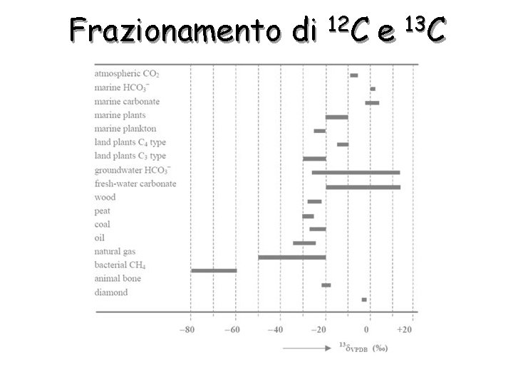 Frazionamento di 12 C e 13 C 