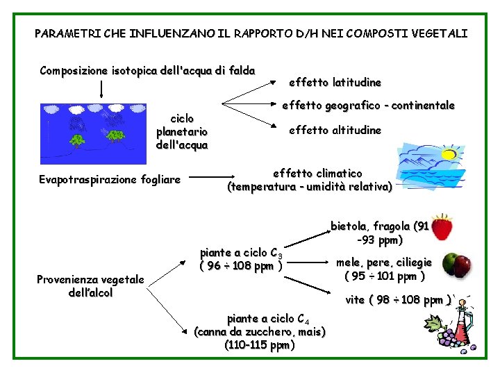 Parametri D/H nei vegetali PARAMETRI CHE INFLUENZANO IL RAPPORTO D/H NEI COMPOSTI VEGETALI Composizione