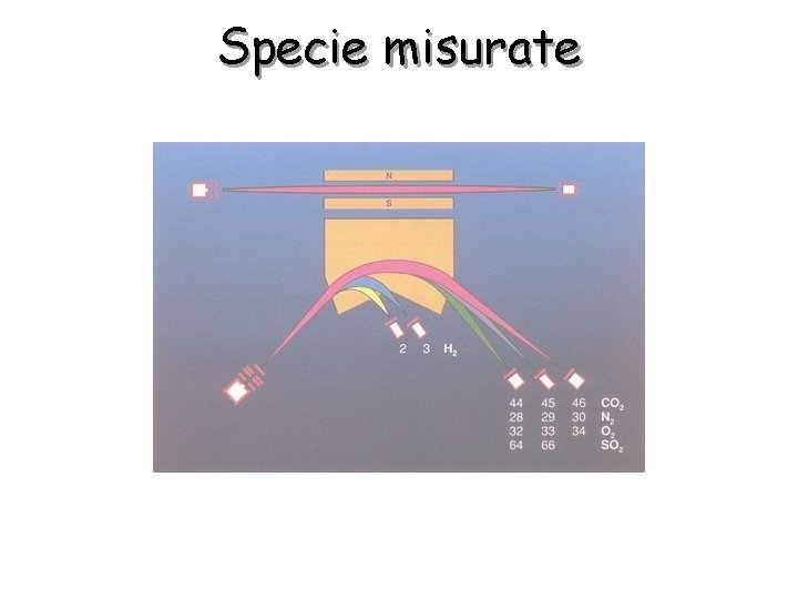 Specie misurate 