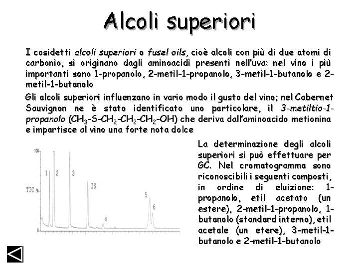 Alcoli superiori I cosidetti alcoli superiori o fusel oils, cioè alcoli con più di