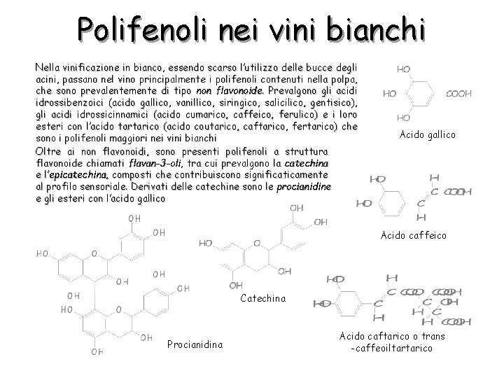 Polifenoli nei vini bianchi Nella vinificazione in bianco, essendo scarso l’utilizzo delle bucce degli