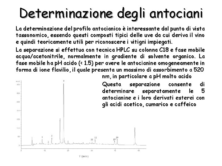 Determinazione degli antociani La determinazione del profilo antocianico è interessante dal punto di vista