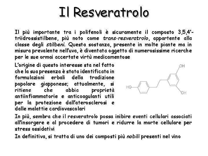 Il Resveratrolo Il più importante tra i polifenoli è sicuramente il composto 3, 5,