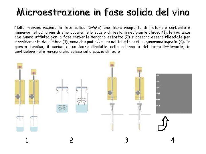 Microestrazione in fase solida del vino Nella microestrazione in fase solida (SPME) una fibra