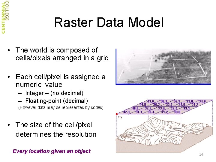 Raster Data Model • The world is composed of cells/pixels arranged in a grid