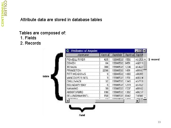 Attribute data are stored in database tables Tables are composed of: 1. Fields 2.