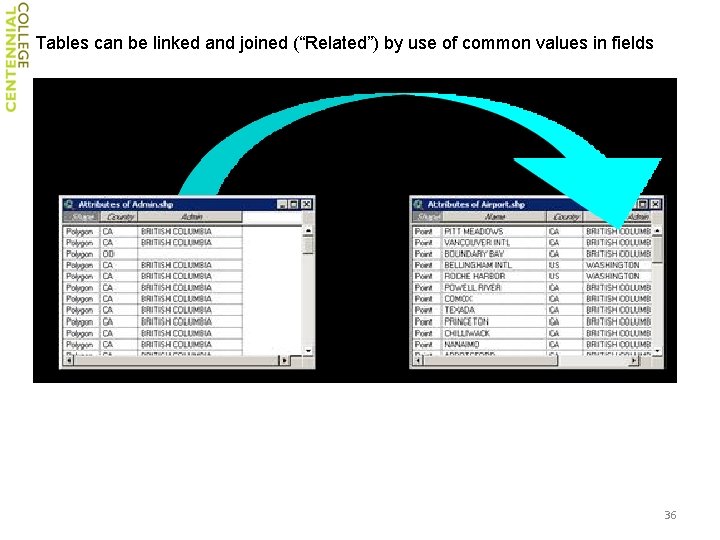 Tables can be linked and joined (“Related”) by use of common values in fields