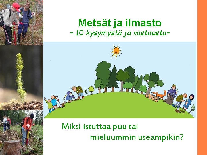 Metsät ja ilmasto – 10 kysymystä ja vastausta– Miksi istuttaa puu tai mieluummin useampikin?