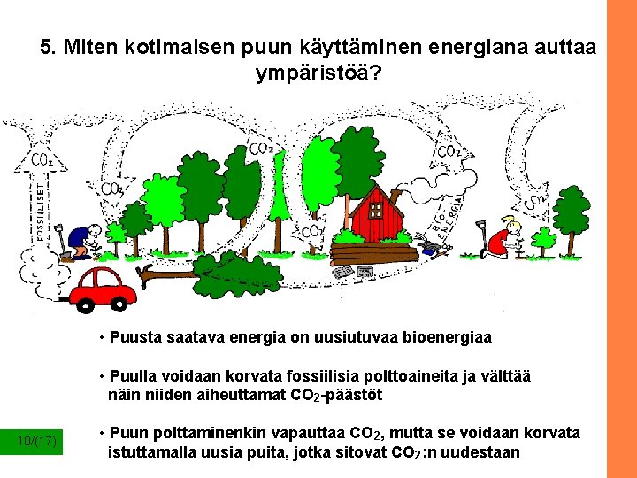 5. Miten kotimaisen puun käyttäminen energiana auttaa ympäristöä? • Puusta saatava energia on uusiutuvaa