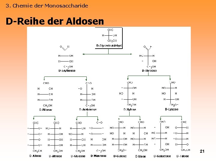 3. Chemie der Monosaccharide D-Reihe der Aldosen 21 