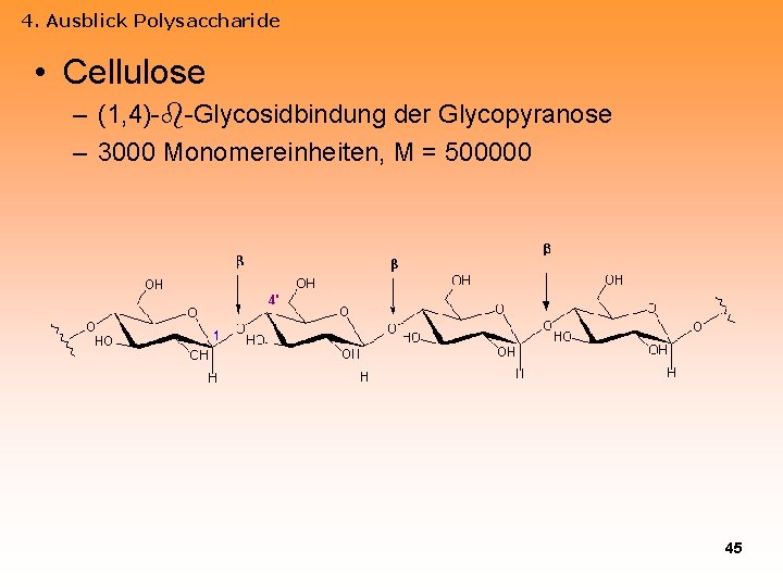 4. Ausblick Polysaccharide • Cellulose – (1, 4)- -Glycosidbindung der Glycopyranose – 3000 Monomereinheiten,