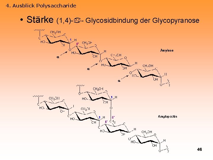 4. Ausblick Polysaccharide • Stärke (1, 4)- - Glycosidbindung der Glycopyranose 46 