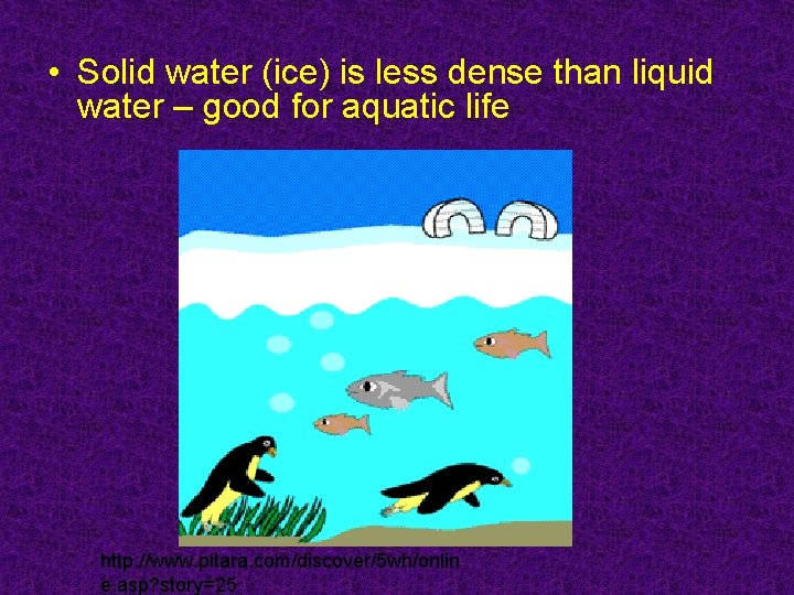  • Solid water (ice) is less dense than liquid water – good for