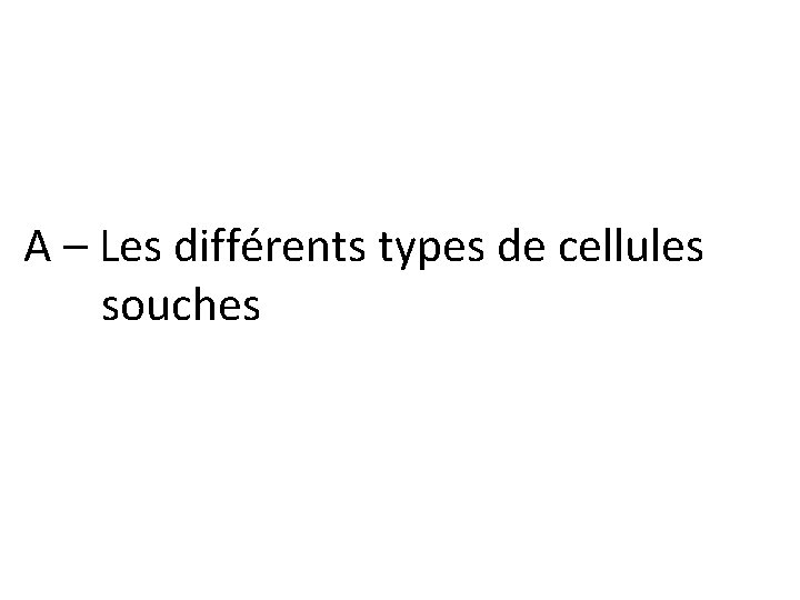 A – Les différents types de cellules souches 