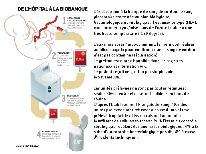 Dès réception à la banque de sang de cordon, le sang placentaire est testée