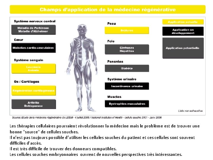 Les thérapies cellulaires pourraient révolutionner la médecine mais le problème est de trouver une