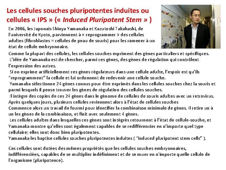 Les cellules souches pluripotentes induites ou cellules « IPS » ( « Induced Pluripotent