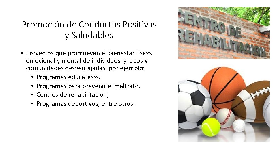 Promoción de Conductas Positivas y Saludables • Proyectos que promuevan el bienestar físico, emocional
