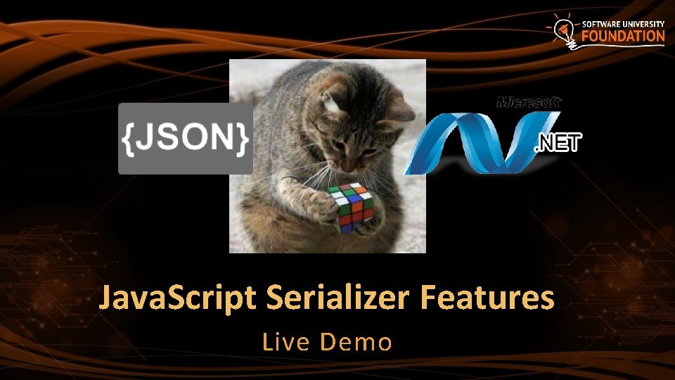 Java. Script Serializer Features Live Demo 