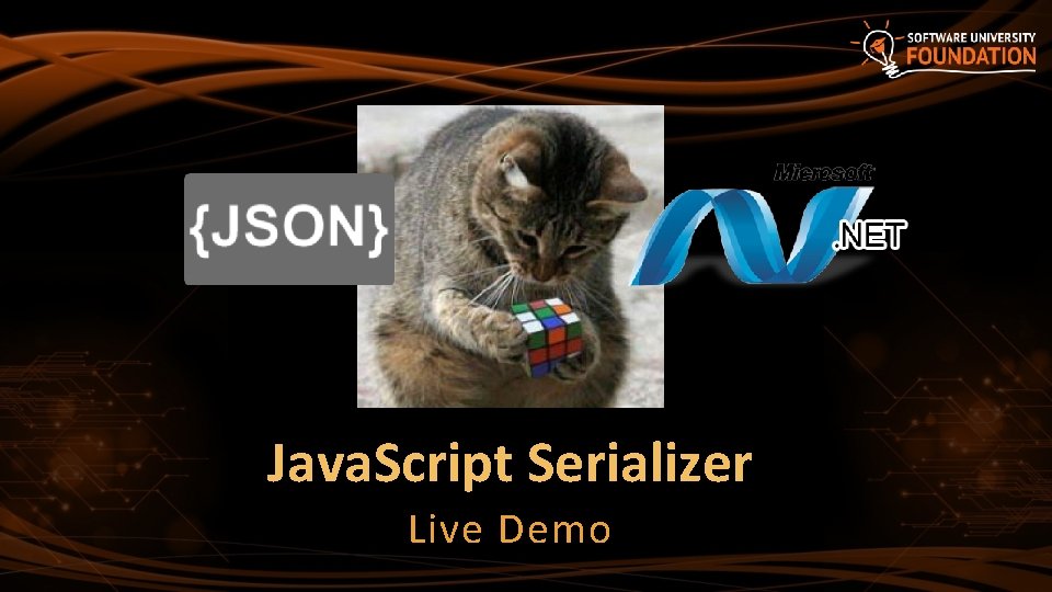Java. Script Serializer Live Demo 