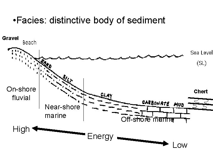  • Facies: distinctive body of sediment Gravel On-shore fluvial Chert Near-shore marine High