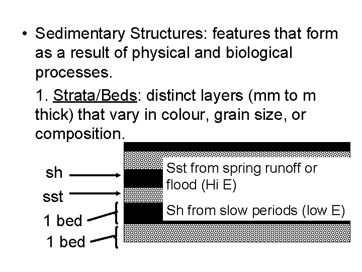  • Sedimentary Structures: features that form as a result of physical and biological