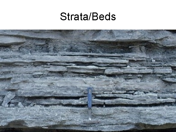 Strata/Beds 