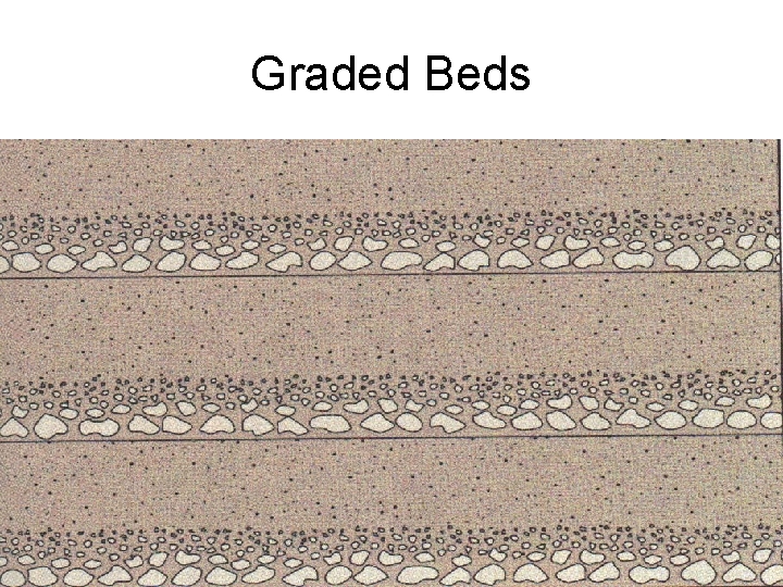 Graded Beds 