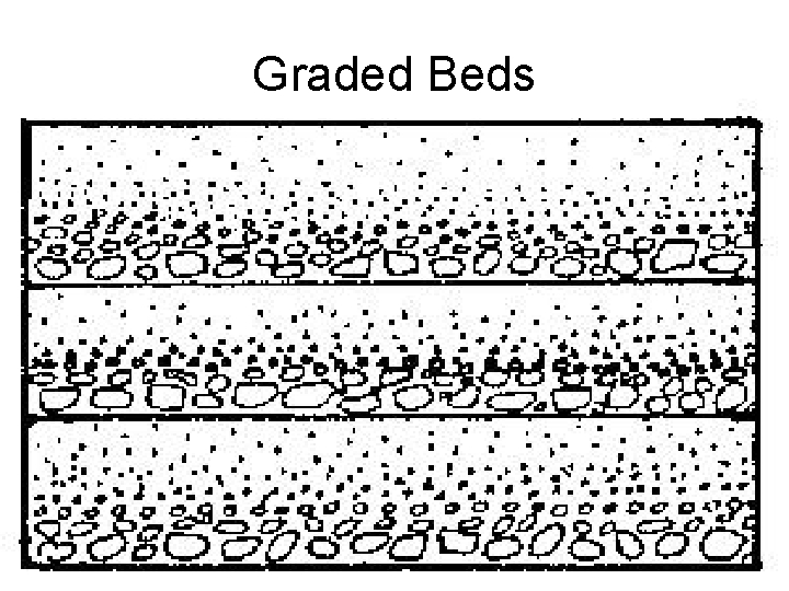 Graded Beds 