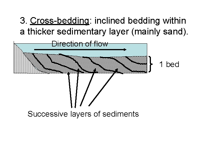 3. Cross-bedding: inclined bedding within a thicker sedimentary layer (mainly sand). Direction of flow