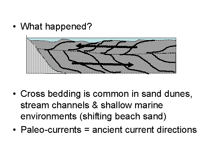  • What happened? • Cross bedding is common in sand dunes, stream channels