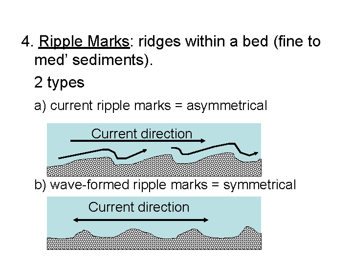 4. Ripple Marks: ridges within a bed (fine to med’ sediments). 2 types a)