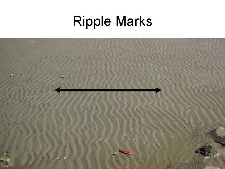 Ripple Marks 