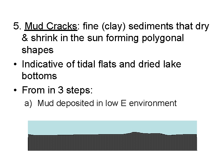 5. Mud Cracks: fine (clay) sediments that dry & shrink in the sun forming