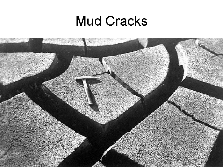 Mud Cracks 